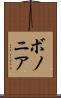 ボノニア Scroll