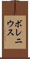 ボレニウス Scroll