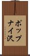 ポップナイ沢 Scroll