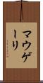 マウゲーリ Scroll