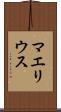 マエリウス Scroll