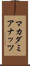 マカダミアナッツ Scroll