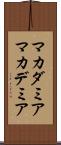 マカダミア Scroll