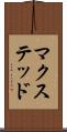 マクステッド Scroll