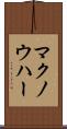 マクノウハー Scroll