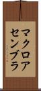 マクロ・アセンブラ Scroll