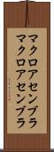 マクロアセンブラ Scroll