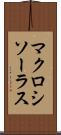マクロシソーラス Scroll