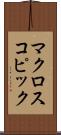 マクロスコピック Scroll