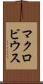 マクロビウス Scroll