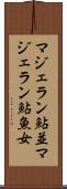 マジェラン鮎並 Scroll