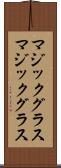 マジックグラス Scroll