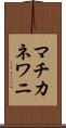マチカネワニ Scroll