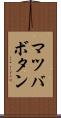マツバボタン Scroll