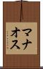 マナオス Scroll