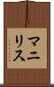 Manilis Scroll