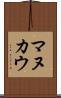 マヌカウ Scroll