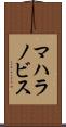マハラノビス Scroll