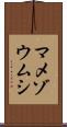 マメゾウムシ Scroll