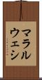 マラルウェシ Scroll