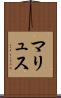 マリュス Scroll