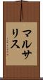 マルサリス Scroll