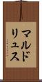 マルドリュス Scroll