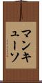 マンキューソ Scroll