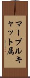 マーブルキャット属 Scroll