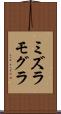 ミズラモグラ Scroll