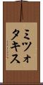 ミツォタキス Scroll