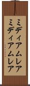 ミディアムレア Scroll