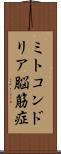 ミトコンドリア脳筋症 Scroll