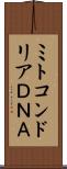 ミトコンドリアＤＮＡ Scroll