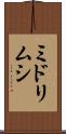 ミドリムシ Scroll