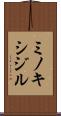 ミノキシジル Scroll