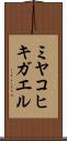 ミヤコヒキガエル Scroll