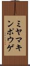 ミヤマキンポウゲ Scroll