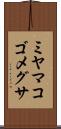 ミヤマコゴメグサ Scroll