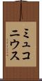 ミュコニウス Scroll
