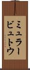 ミュラービュトウ Scroll