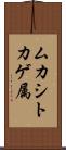 ムカシトカゲ属 Scroll