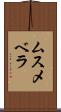 ムスメベラ Scroll