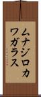 ムナジロカワガラス Scroll