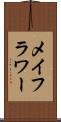 メイフラワー Scroll