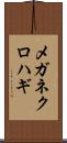 メガネクロハギ Scroll