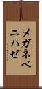 メガネベニハゼ Scroll