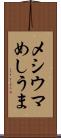 メシウマ Scroll