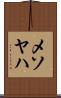 メソヤハ Scroll