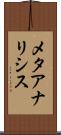 メタアナリシス Scroll